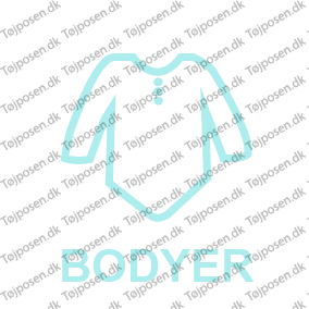 Bodyer