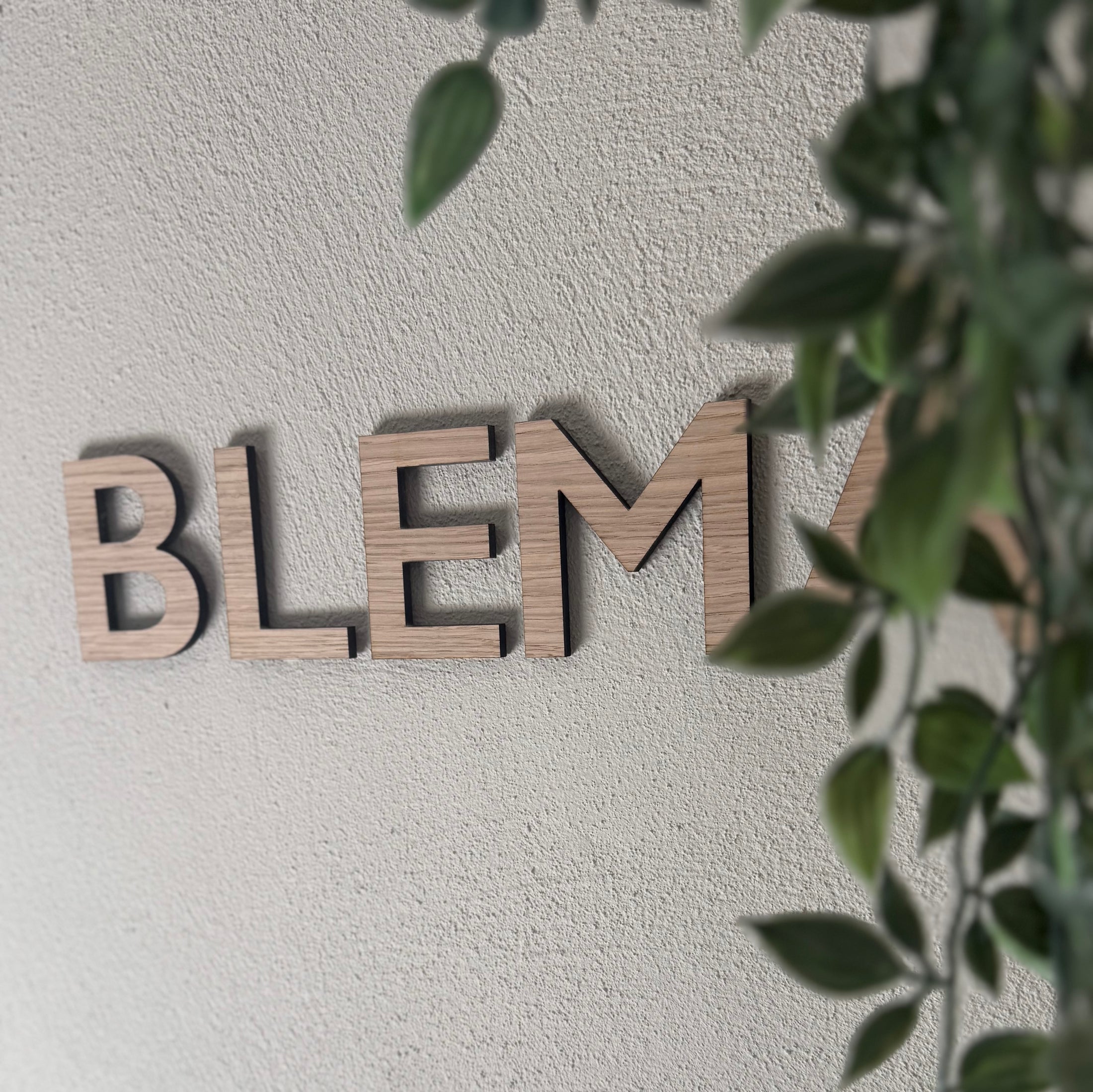 BLEMÅS