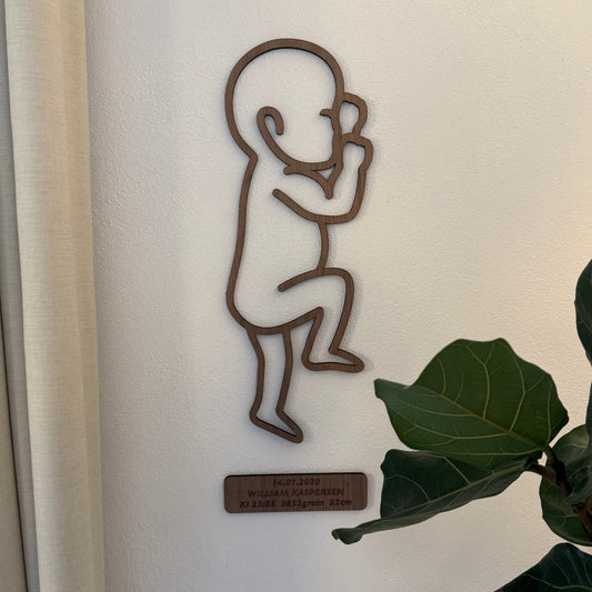 Fødselstavle 1:1