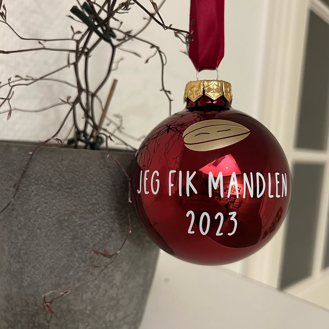 Jeg fik mandlen, 2025