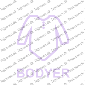 Bodyer