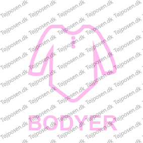 Bodyer